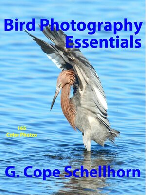cover image of Bird Photography Essentials